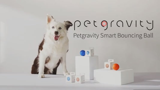 Smart Interactive Pet  Ball LED